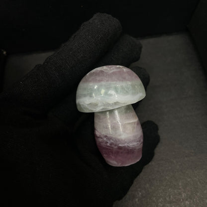 2" Natural Crystal Fluorite Mushroom, Collectible Decor for Feng Shui & Energy Balancing - Unique Home Accent Piece