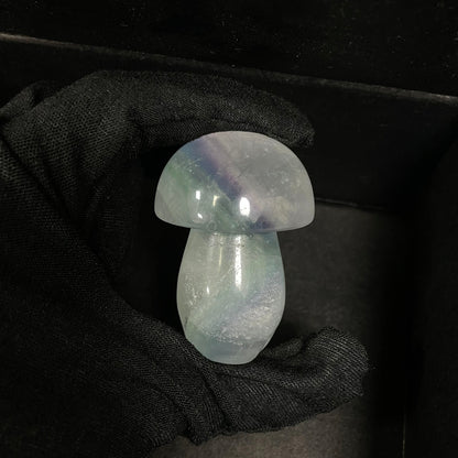2" Natural Crystal Fluorite Mushroom, Collectible Decor for Feng Shui & Energy Balancing - Unique Home Accent Piece